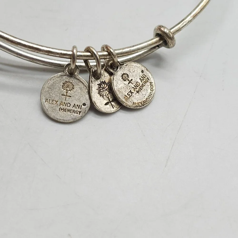 Alex & Ani Ultra Rare Trapeze Wrap Bracelet Sliver Tone Retired Hard To Find